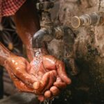 pexels aj4xo 27599728